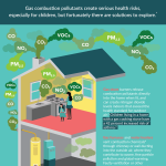 Stoves Health Infographic Page